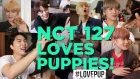 NCT 127 Loves Puppies, Taylor Swift, Lil Dicky and Standing Out!