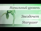 How to pole dance trick Stargazer  - pole dance tutorial /Уроки pole dance - Звездочет