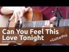 Can You Feel the Love Tonight (Go Fingerstyle cover)