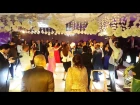 ALMAZ Anastasiya Gara - Cairo wedding 2017