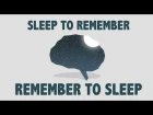 The benefits of a good night's sleep - Shai Marcu