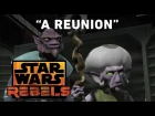 A Reunion – Legends of the Lasat Preview | Star Wars Rebels