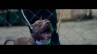 Anacondaz — Дубак (Official Music Video)
