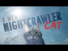 X-Men: Nightcrawler Cat