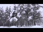 Сергей Чекалин - Падал снег. HD