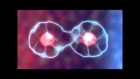 Cell Dividing: Adobe After Effects Tutorial