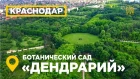 #ВеснаHD Парк Дендрарий Краснодар аэросъемка ботанический сад им ИС Косенко вид сверху #4K #MW_I