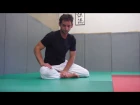 Aiki Taiso Body workout mobility & flexibility - Xavier Dufau
