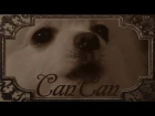 Gabe the Dog - Can Can