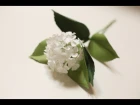 Crepe paper flowers Hydrangea Easy & Simple FULL tutorial FREE !