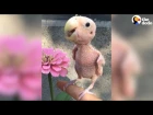 Naked Bird Who Lost Her Feathers Is So Loved Now | The Dodo