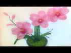 Орхидея из бисера своими руками мастер класс. DIY Orchid from beads own hands the master class