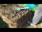ГРЯДКА НА ТЮКАХ ИЗ СОЛОМЫ. How to make a straw bale garden bed.. Our 1st Lucerne/alfalfa bed..