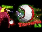 Terraria 1.3 (Expert) - Близнецы (Twins)