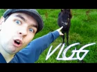 VLOG | I Love Nature! | A Day In The Life Of Jack