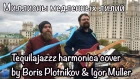 Миллионы медленных лилий - Tequilajazzz harmonica cover by Boris Plotnikov & Igor Muller