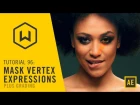 Tutorial 96: Mask Vertex Expressions plus Grading