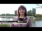 Отзыв участника Whole World - Irina Agapova, Russia, Rostov na donu