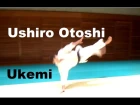 Advanced Aikido Ukemi: Ushiro Otoshi Tutorial