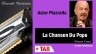 La Chanson Du Popo - Harmonica TAB - Михаил Гапак - Hohner CX12 Jazz