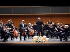 Allegro non troppo - Brahms Concerto in D major - Part 2