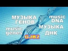 Музыка днк - Как поет человеческий  ген GJB2 (translation mRNA)