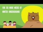 Groundhog Day for Kids | Groundhog Day Song | Lyric Video | The Kiboomers