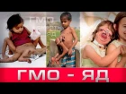 Наглядный эксперимент что ГМО оружие убийства Evident experiment that GMO murder weapon