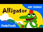 A | Alligator | ABC Alphabet Songs | Phonics | PINKFONG Songs for Children