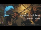 Weed & Dolphins - Heavy rains (ВИЛЬЯ FEST 24/06 live)