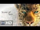 CGI 3D Animated Short HD: "Scent of Sun"  - by Massinissa Matoub