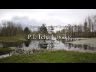 P. Tchaikovsky. Children's Album, performed by Russian Saxophone Quartet