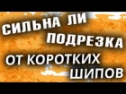 Сильна ли подрезка от коротких шипов? На примере SPINLORD Degu 2.0 мм (настольный теннис)