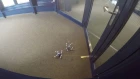 "FlyCroTug" Drones Work Together to Open a Door