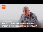 Антиоксиданты и сердечно сосудистые заболевания. Олег Медведев