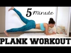 4 Minute Plank Workout - Smaller waist from home!