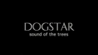 Keanu Reeves/Original Dogstar Rarities Scrap video "Sign of the Trees" 1993