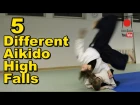 [Aikido Ukemi] 5 Different Types of High Falls / Break Falls