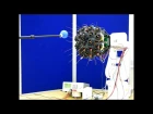 Visual-Tactile Sensory Map Calibration of a Biomimetic Whiskered Robot