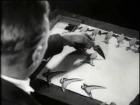 1930s Russian Drawn Sound: Nikolai Voinov's 'Paper Sound'