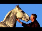 Hempfling - The Horse's Freedom - Bond, Expression, Happiness
