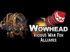 Vicious War Fox - Alliance