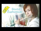Hibike! Euphonium 2 - Heion naru Hibi (on flute cover)