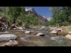 4K NATURE SCENE: Zion's Virgin River Flowing - a Fixed-Angle Relaxation Video Screensaver