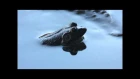 Ant-Zen: Synapscape - Fields (Official Video)