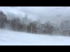 Winter Wind 1 Hour / Relaxing Snowstorm Sound, Winds Blowing Snow Across Forest Meadow