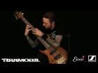 Dominic Forest Lapointe - TERAMOBIL - Molecular Spectrometry (Bass Playthrough)
