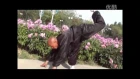 猴拳Hou Quan-Monkey Fist Kung Fu