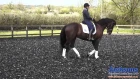 Hannah Biggs - How to teach your horse the pirouette in walk