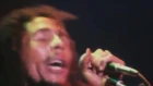 Motörhead and Bob Marley - "Killed by Exodus"
